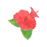 mimimi-no-hito